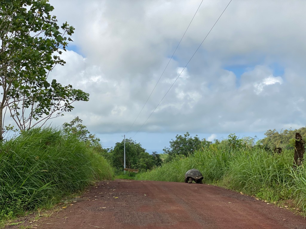 I Bid You Adieu,&nbsp;2020